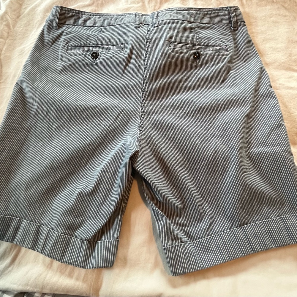 Classic Blue Striped Women's Shorts - Picture 4 of 11